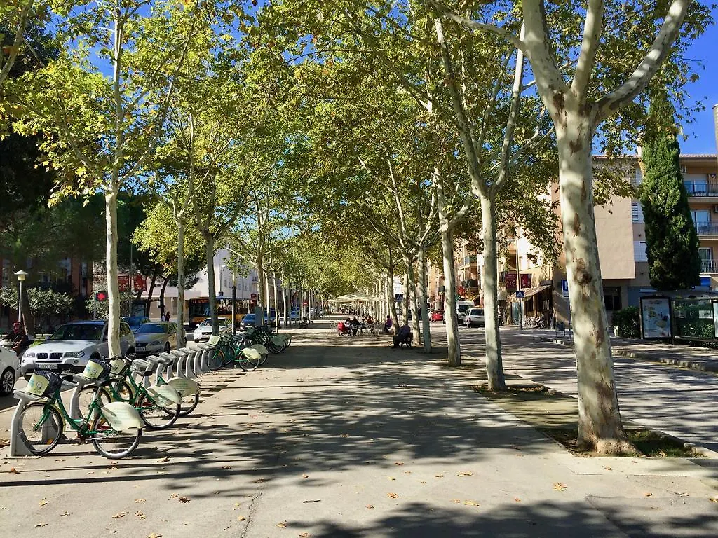 Piso Centrico De 100 M2 Apartment Girona 0*,
