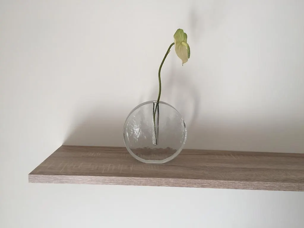 Piso Centrico De 100 M2 Apartment Girona
